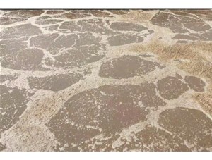 廢水處理中常用的氧化劑和還原劑有哪些？